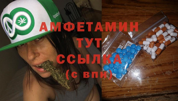 молекула духа Алексин
