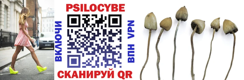 Псилоцибиновые грибы мухоморы  shop как зайти  Новошахтинск  цены  