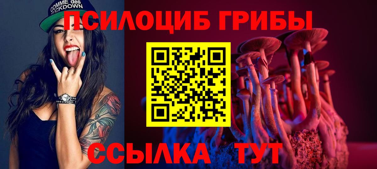 Галлюциногенные грибы GOLDEN TEACHER  Вход с VPN  Новошахтинск 