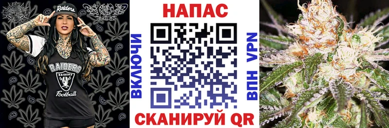 omg ссылки  сколько стоит  Новошахтинск  Каннабис Amnesia 